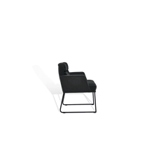 Laden Sie das Bild in den Galerie-Viewer, D-Light Armlehnstuhl (Rundrohrkufengestell)