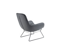 Laden Sie das Bild in den Galerie-Viewer, Leya Lounge Chair (Drahtgestell)