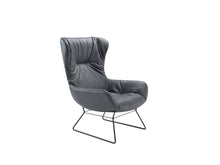 Laden Sie das Bild in den Galerie-Viewer, Leya Wingback Chair (Drahtgestell)