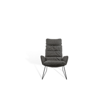 Laden Sie das Bild in den Galerie-Viewer, Arva Lounge Armlehnsessel (Drahtkufengestell)